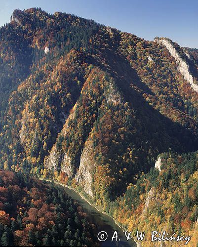 Pieniny, przełom Dunajca, widok z Sokolicy, Pieniński Park Narodowy