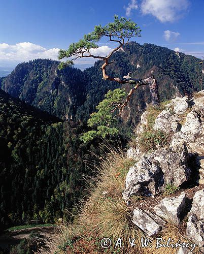 Pieniny, widok z Sokolicy