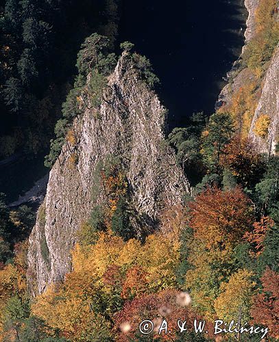 Pieniny, widok z Sokolicy