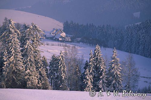 Pieniny zimą