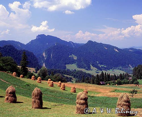 Pieniny, widok z Palenicy na Sokolicę