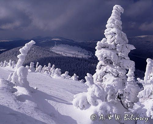 Beskid Żywiecki na Pilsku