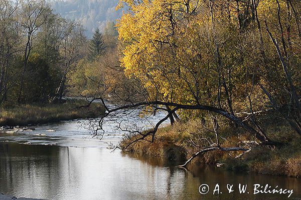 Rzeka San, Park Krajobrazowy Doliny Sanu, Bieszczady