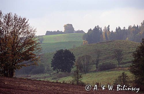 Stańczyki, Park Krajobrazowy Puszczy Rominckiej, Polska