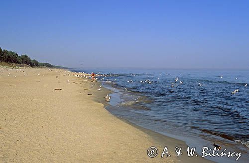 plaża Bałtyk