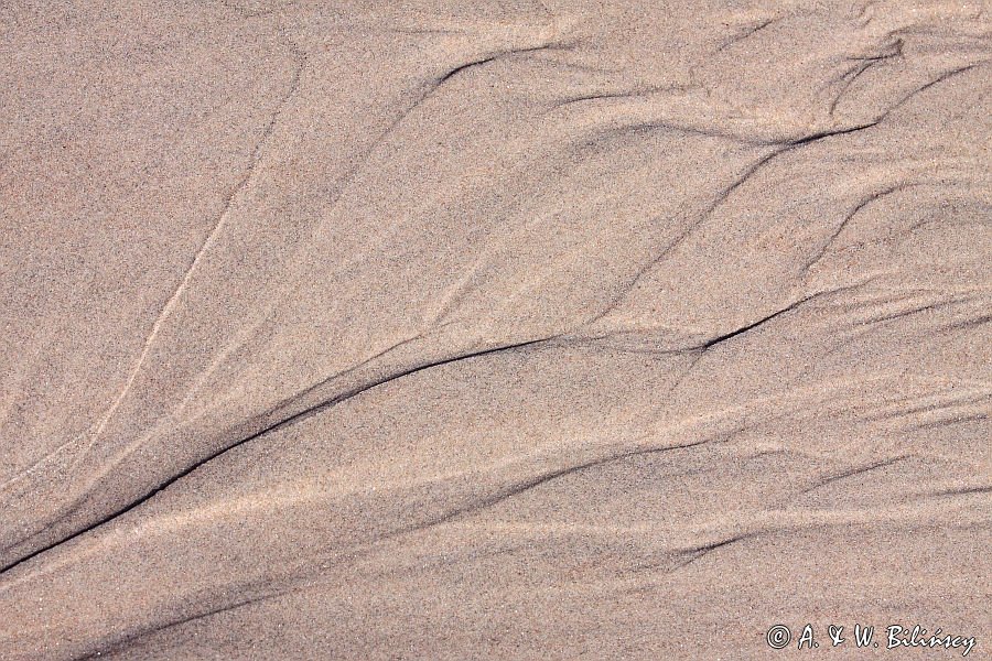 plaża, Bałtyk beach, Baltic Sea