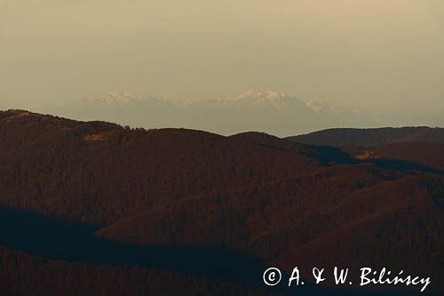 Tatry, widok z Połoniny Wetlińskiej, Bieszczady, poranek 26.10.2014