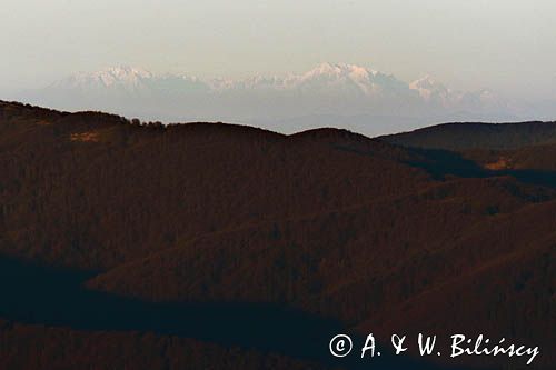 Tatry, widok z Połoniny Wetlińskiej, Bieszczady, poranek 26.10.2014