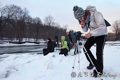 podczas pleneru Bieszczady dniem i nocą, 31.01-2.02.2014