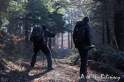 podczas pleneru Bieszczady dniem i nocą, 10-12.01.2014