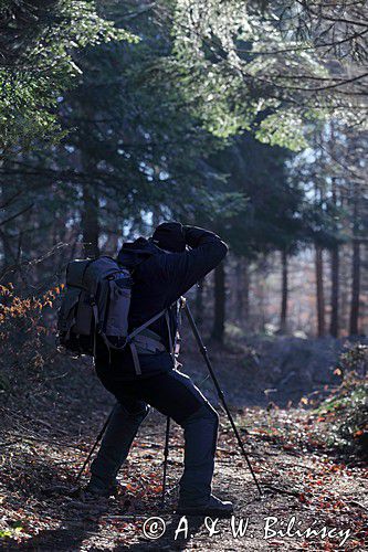 podczas pleneru Bieszczady dniem i nocą, 10-12.01.2014