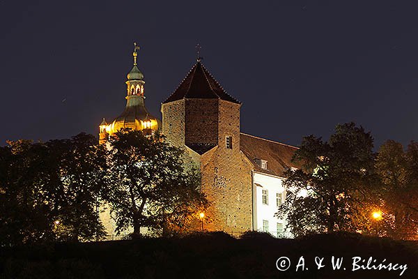 Płock, Zamek, Wzgórze Tumskie