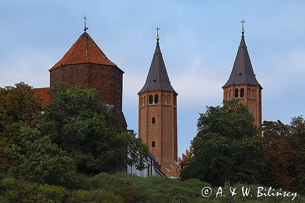 Płock, Bazylika katedralna Wniebowzięcia Najświętszej Maryi Panny i baszta zamku