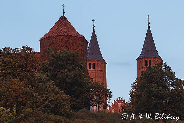 Płock, Bazylika katedralna Wniebowzięcia Najświętszej Maryi Panny i baszta zamku