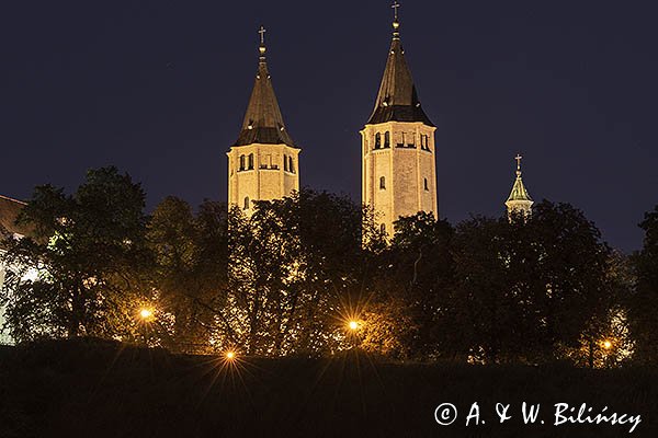 Płock, Bazylika katedralna Wniebowzięcia Najświętszej Maryi Panny