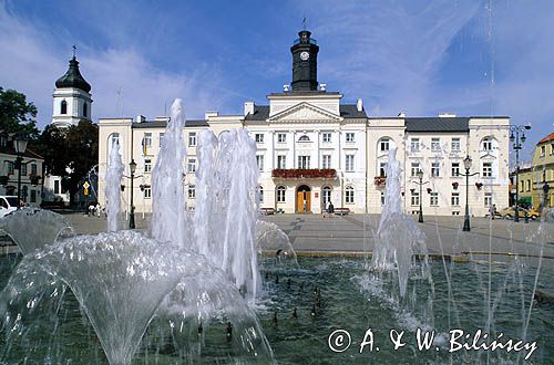 Płock, fontanna i ratusz