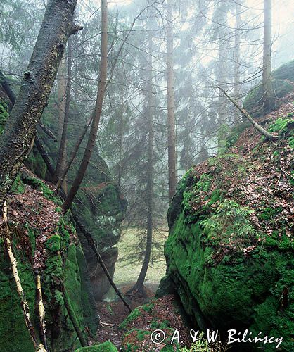 Park Narodowy Gór Stołowych