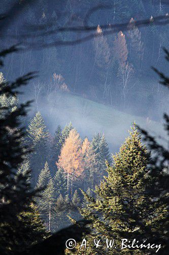 na stoku Besidy, Bieszczady