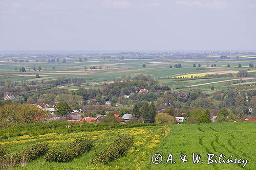 Podgórze Rzeszowskie, okolice Łańcuta, Kotlina Sandomierska