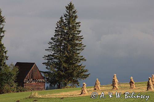 Podhale Gliczarów