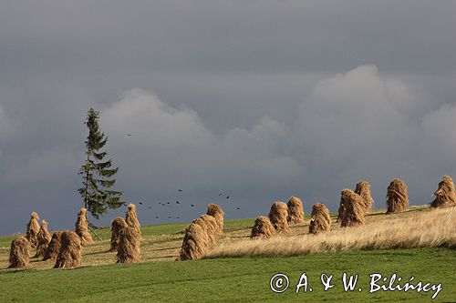 Podhale Gliczarów