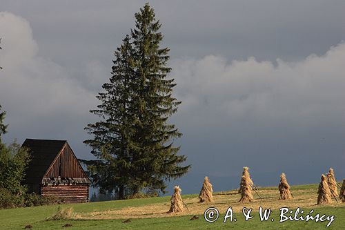 Podhale Gliczarów