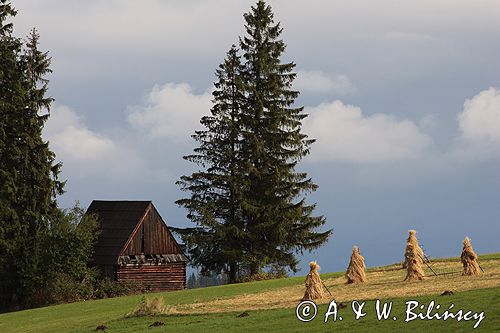 Podhale Gliczarów