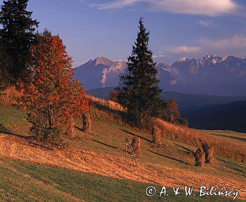 Podhale i Tatry, widok z Gliczarowa