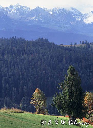 Podhale i Tatry, widok z Gliczarowa