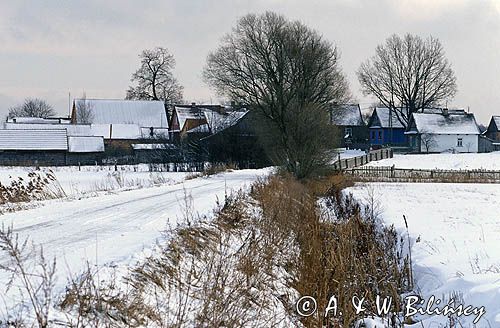 Podlasie wieś Babia Góra na skraju Puszczy Białowieskiej