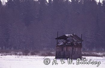 Podlasie