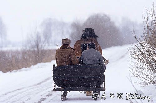 sanie na Podlasiu