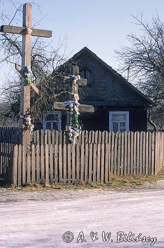 Wiluki osada na skraju Puszczy Białowieskiej, Podlasie