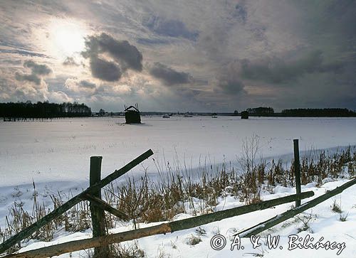 zima na Podlasiu