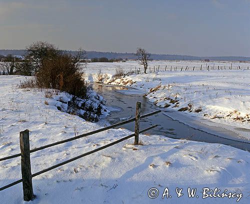 zima na Podlasiu, rzeka Narewka