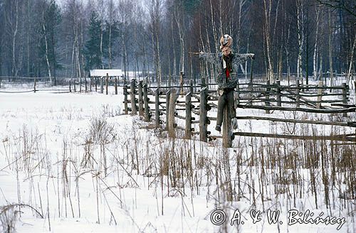 zima na Podlasiu, strach na wróble