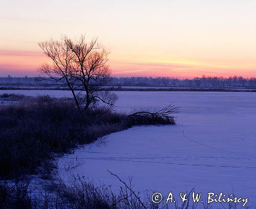 świt w Kotlinie Biebrzańskiej, Podlasie