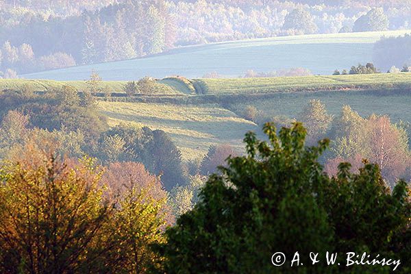 Pogórze Dynowskie