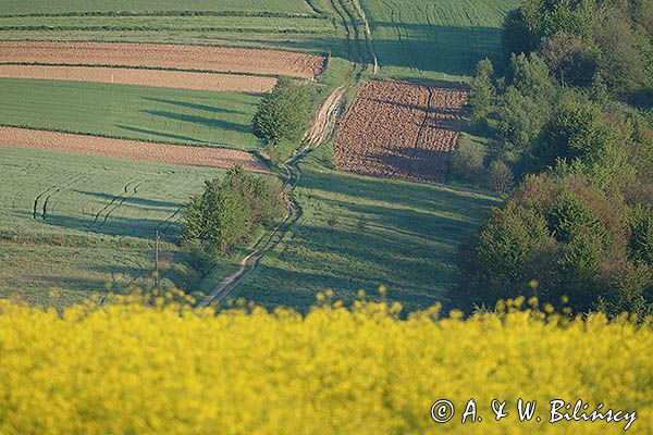 Pola i droga, Pogórze Dynowskie