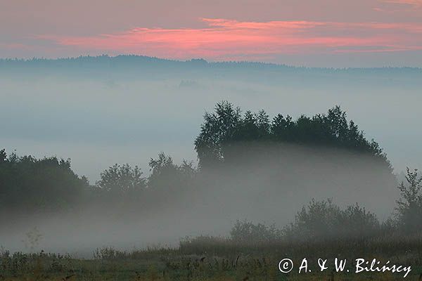 Świt, Pogórze Dynowskie