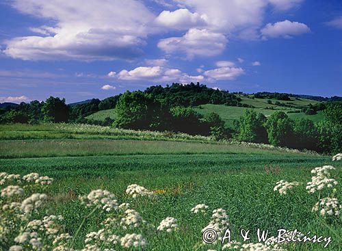 Pogórze Przemyskie, Park Krajobrazowy Pogórza Przemyskiego