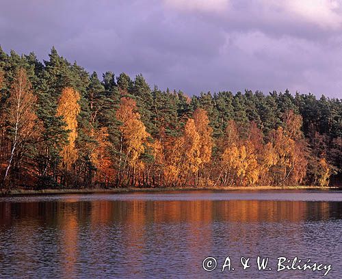 Pojezierze Drawskie Drawski Park Krajobrazowy