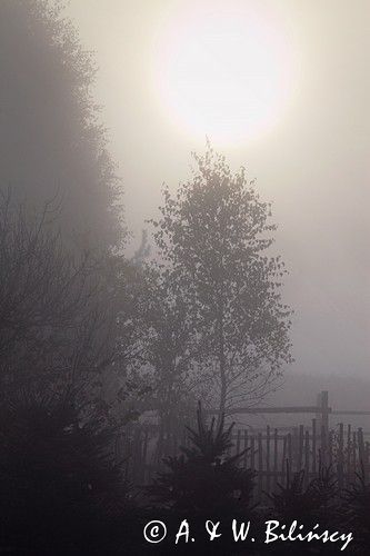 W porannej mgle na Kaszubach, Pojezierze Bytowskie