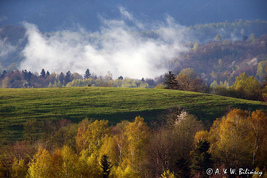 po burzy, okolice Polany, Bieszczady