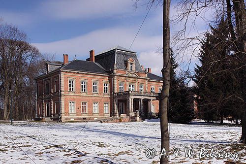 Policzna, Pałac Przeździeckich w Policznie