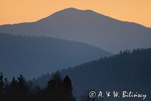 widok na połoniny z przełęczy żebrak, Bieszczady