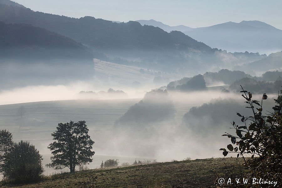 Bieszczady, widok z Przełączy Wyżnej na Przełęcz Wyżniańską, w porannej mgle