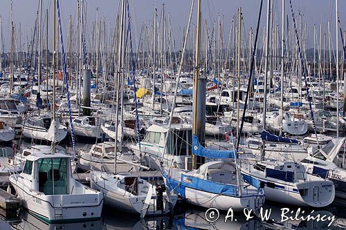 marina w Port la Foret, Finistere, Bretania, Francja