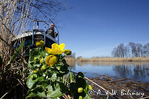 Vistula Cruiser 30 na Szkarpawie, żuławy