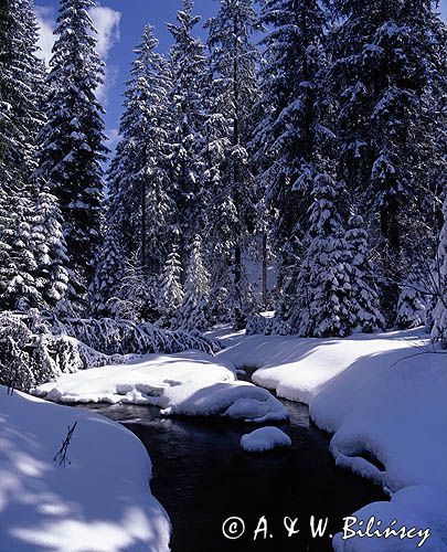 Filipczański Potok Tatry